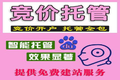 揭秘百度推广代理商：广告投放背后的秘诀